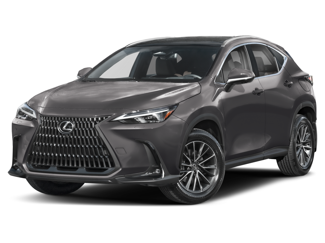 2024 Lexus NX 350h 350h Luxury AWD's photo