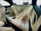 2024 BMW 230i xDrive 230i xDrive
