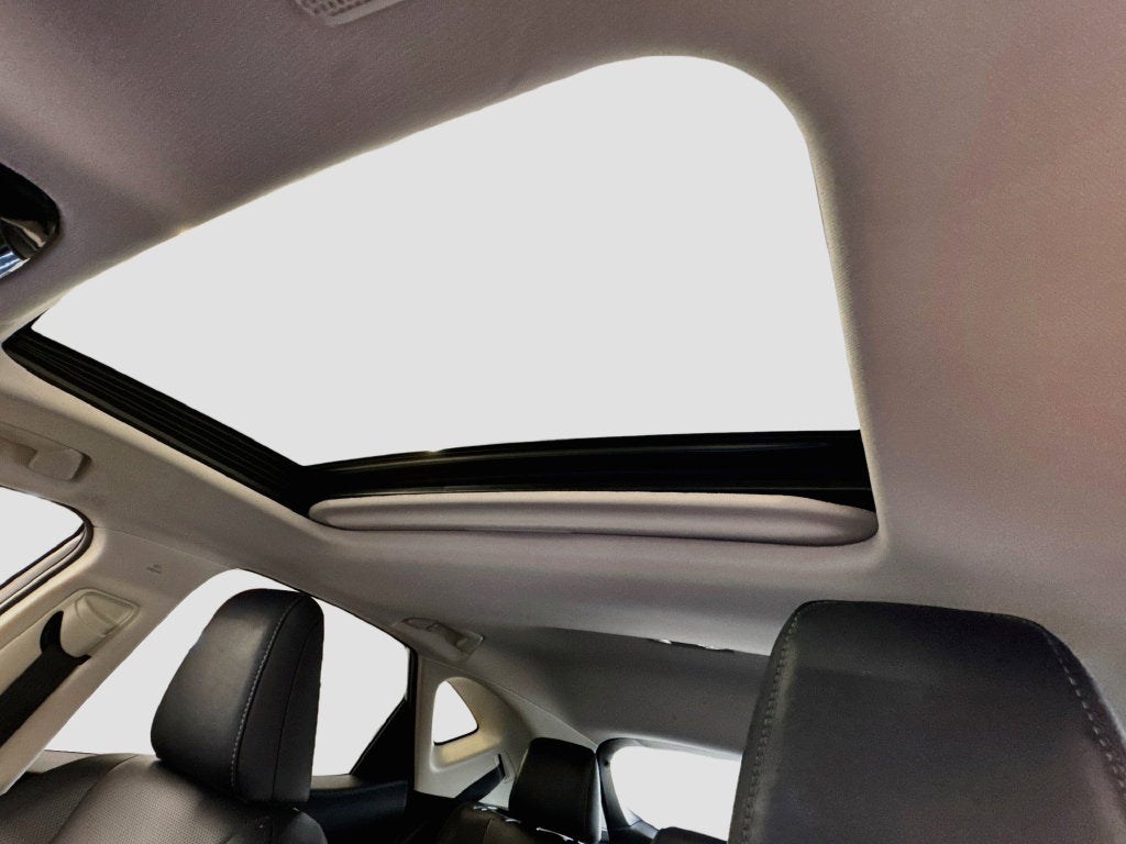 2022 Lexus NX 450h+ Luxury