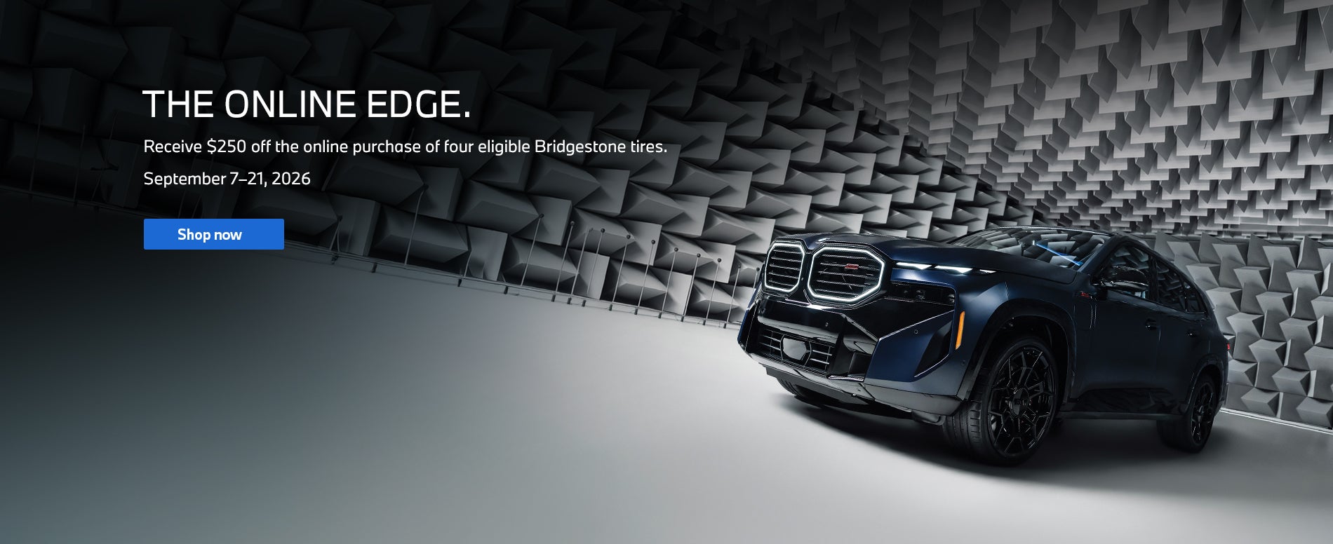 BMW Tire Rebate